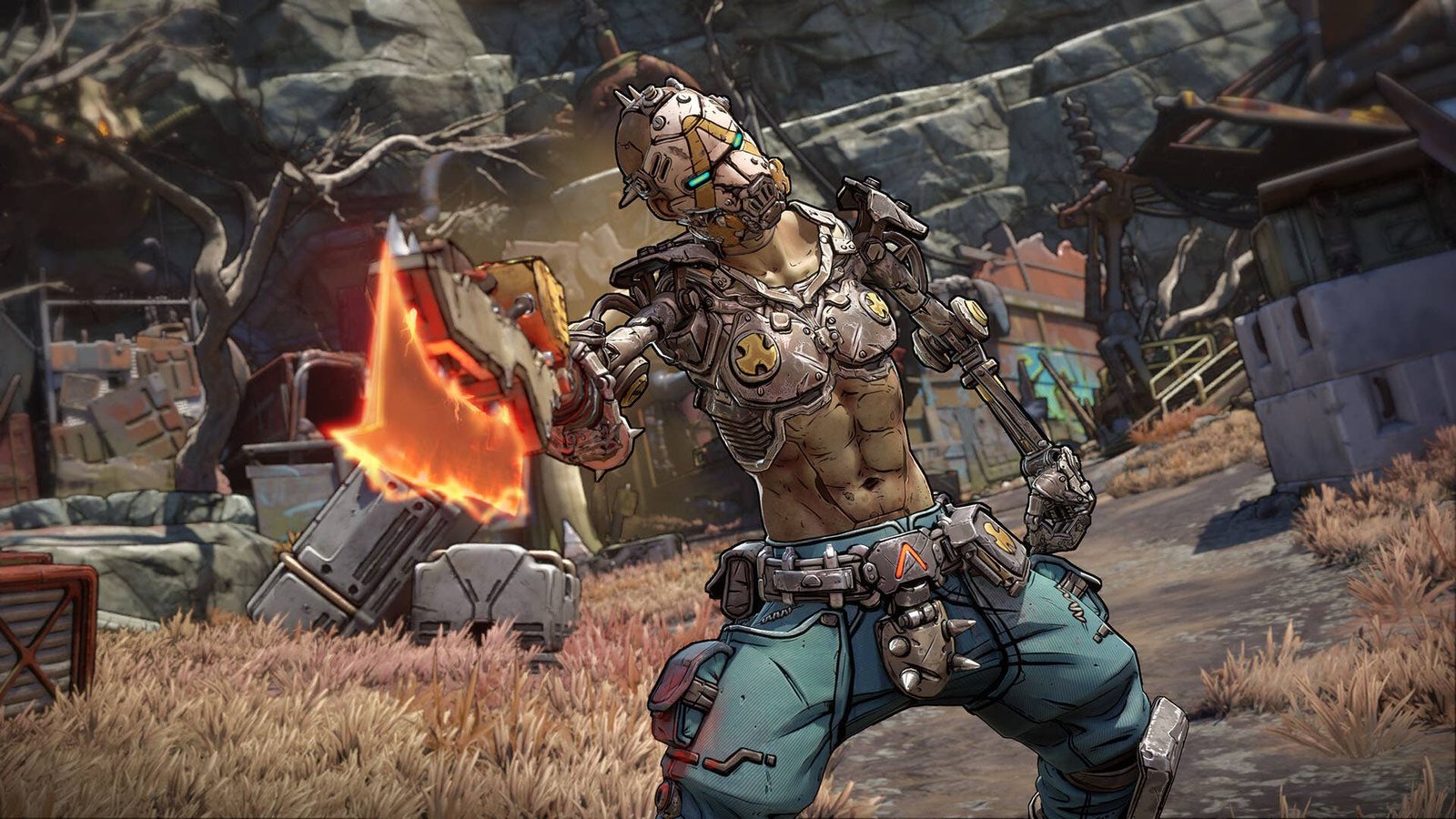 Borderlands 4 bandit
