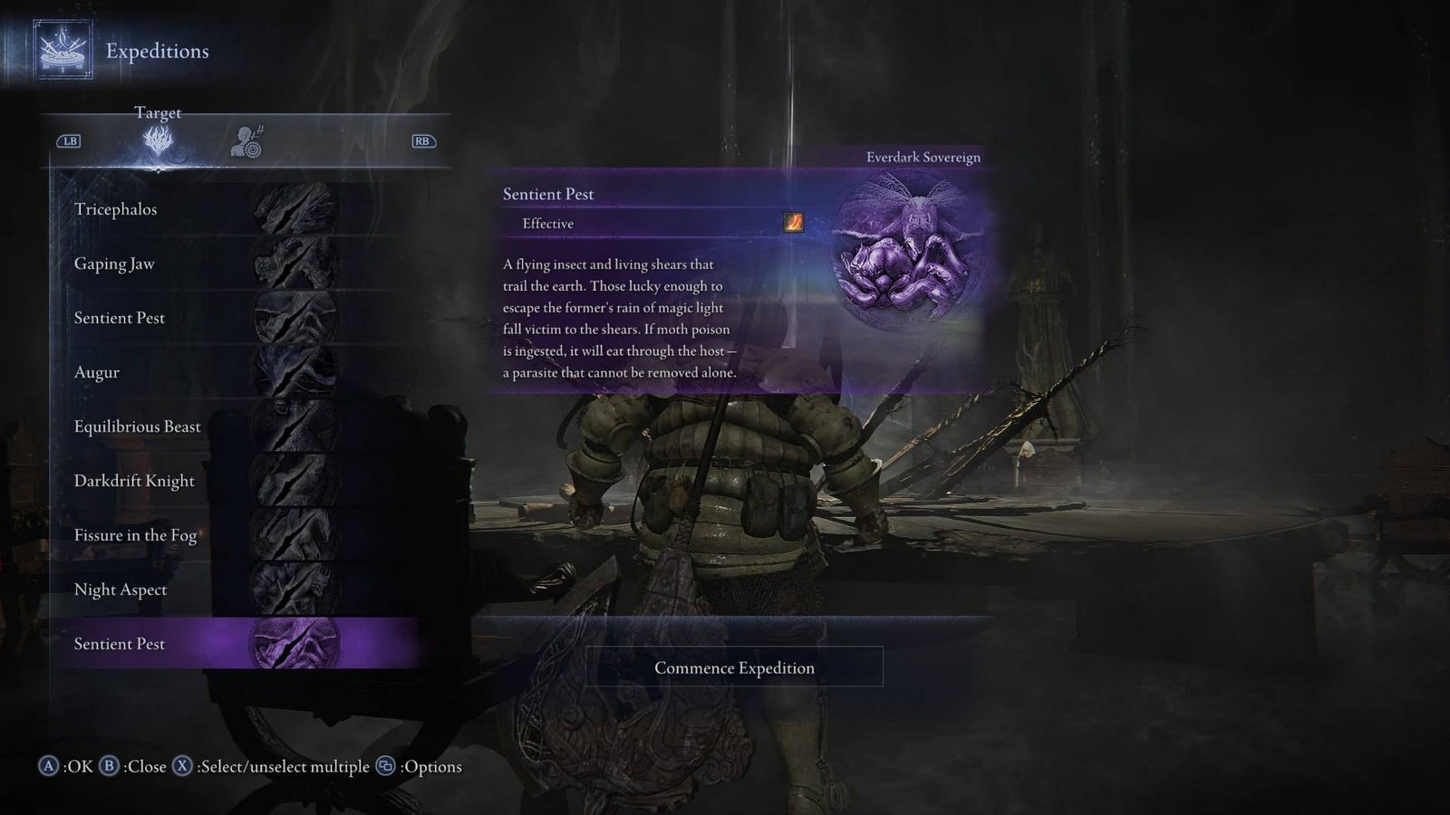 The player looks at the Everdark Sovereign Sentient Pest fight in the Expeditions menu in Elden Ring Nightreign